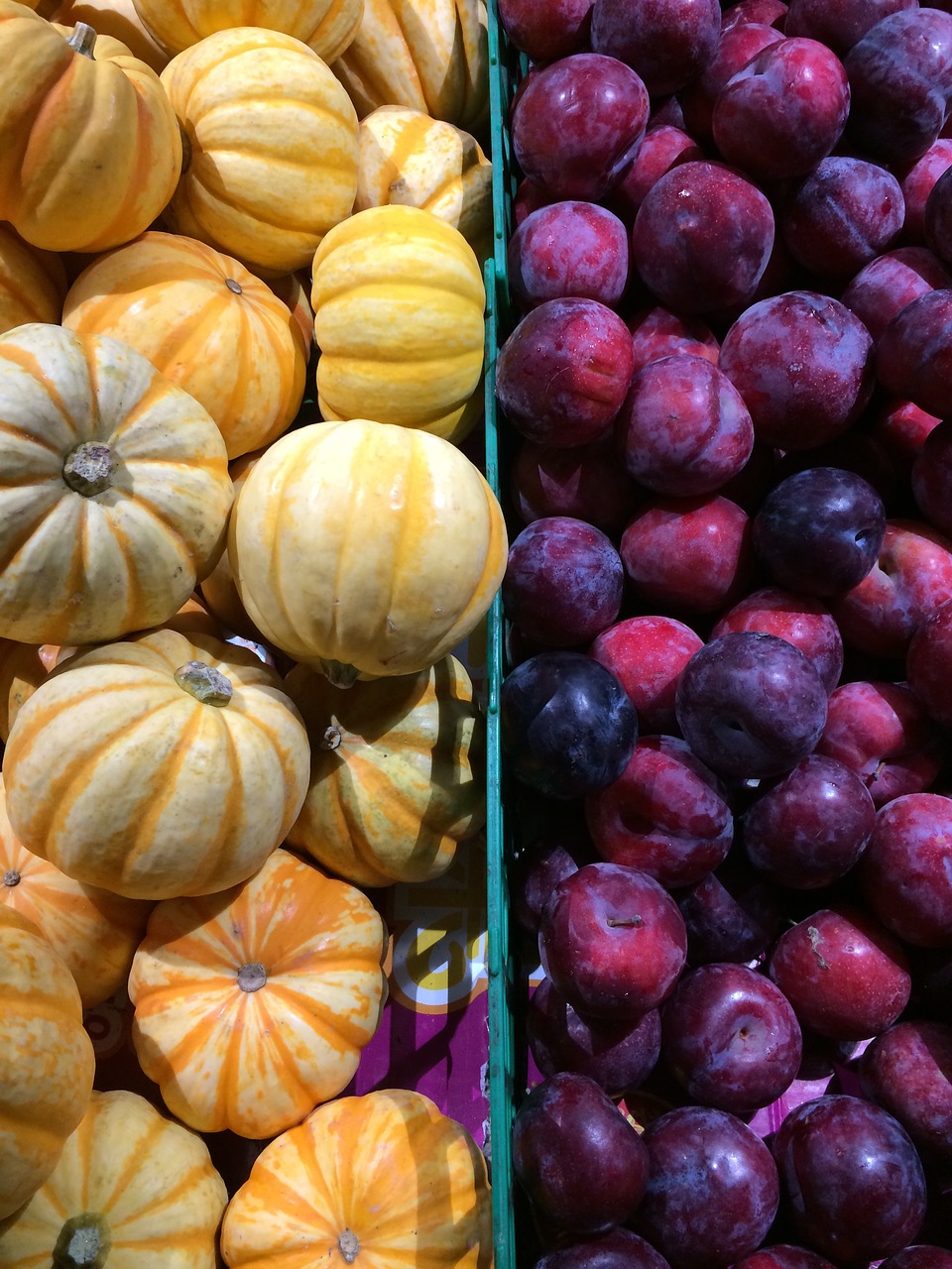 Image - fruit vegetable pumpkin plum