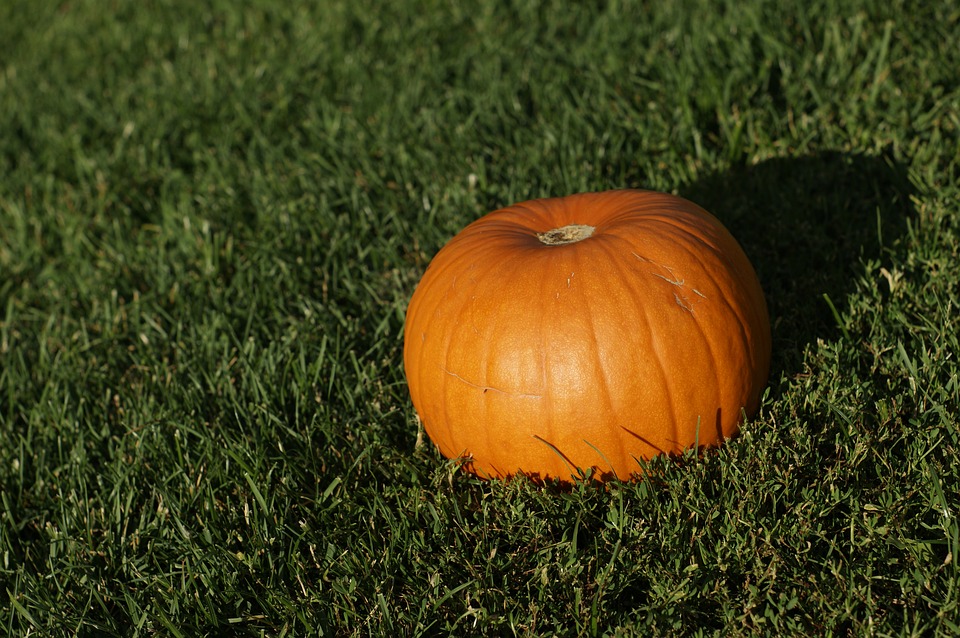 Image - pumpkin halloween halloween pumpkin