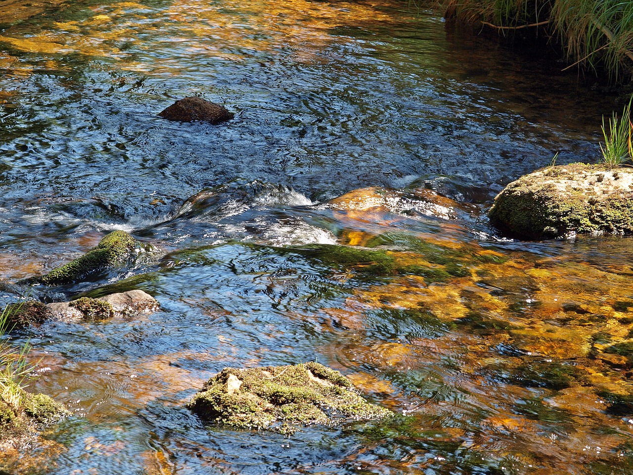 Image - water stones nature