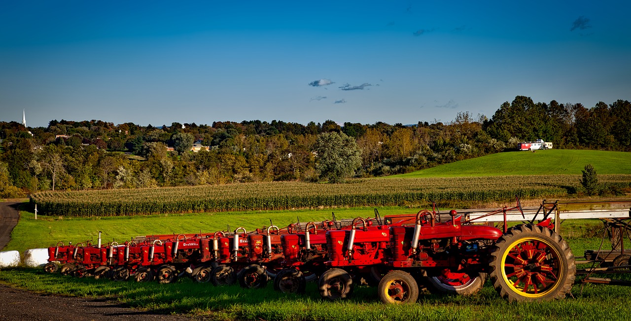 Image - farmall tractors vintage antique