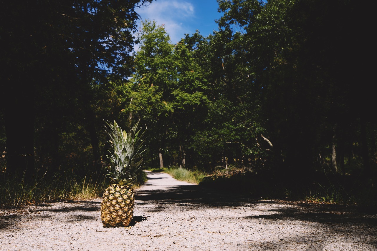 Image - pineapple summertime summer