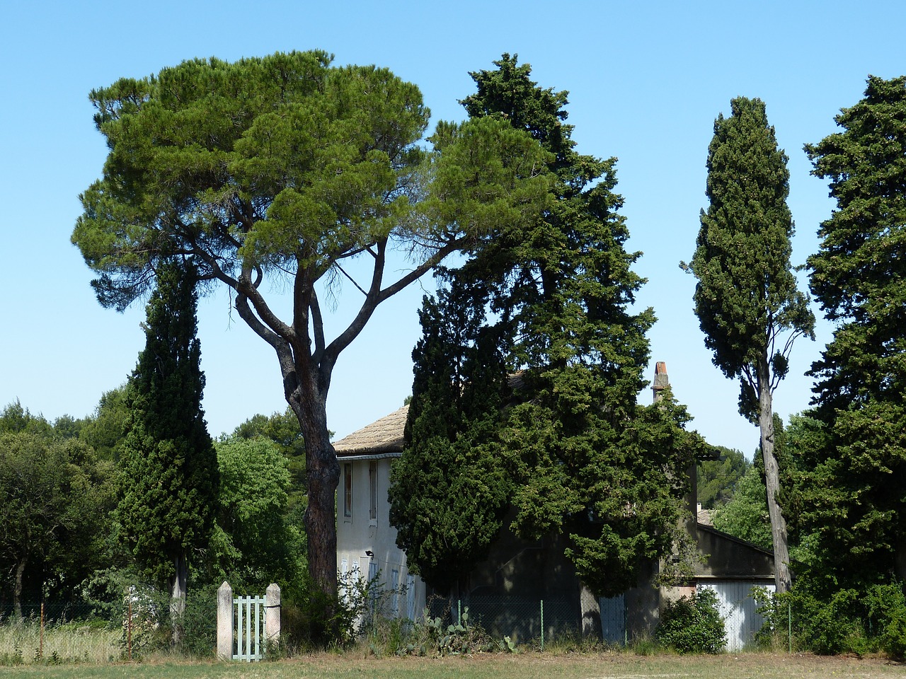 Image - provence rhône france garden