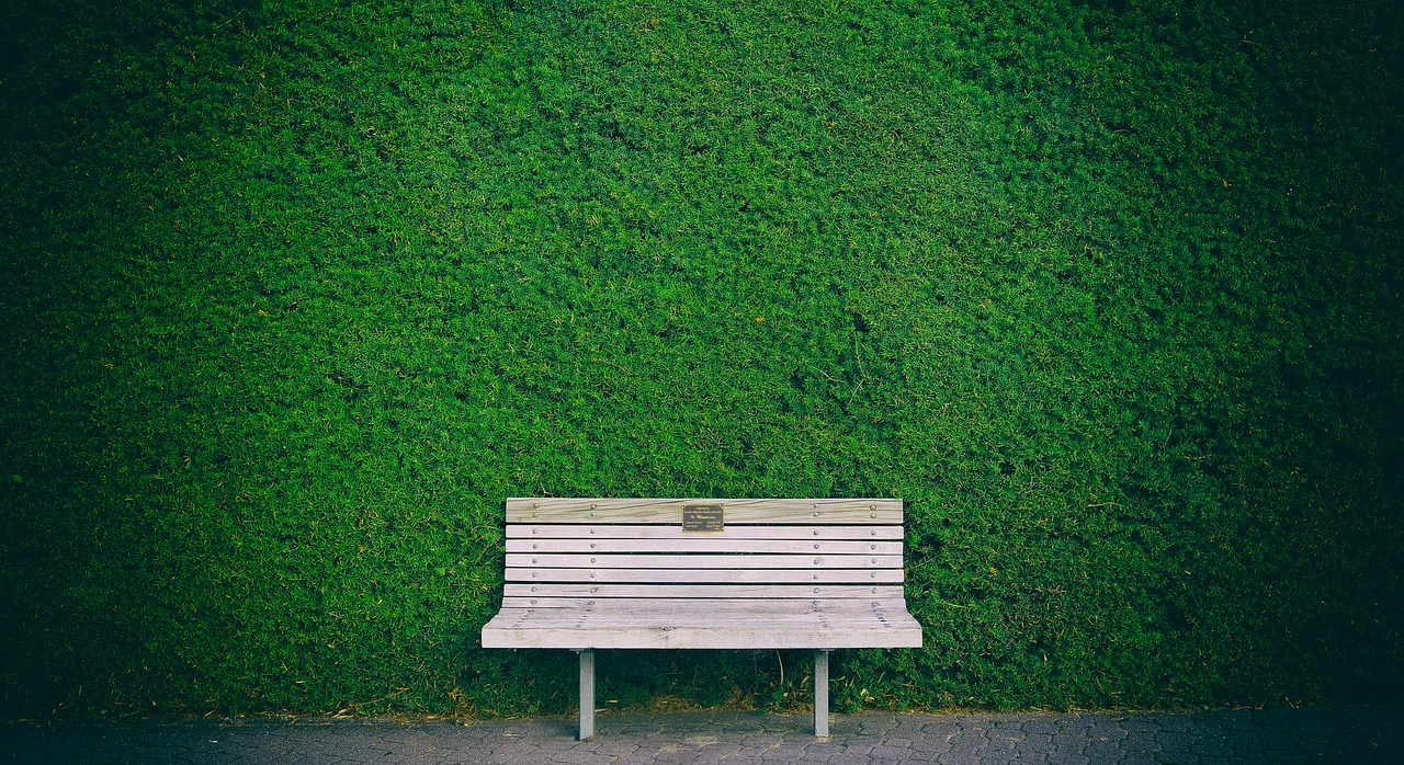 Image - bench hedge green brown background