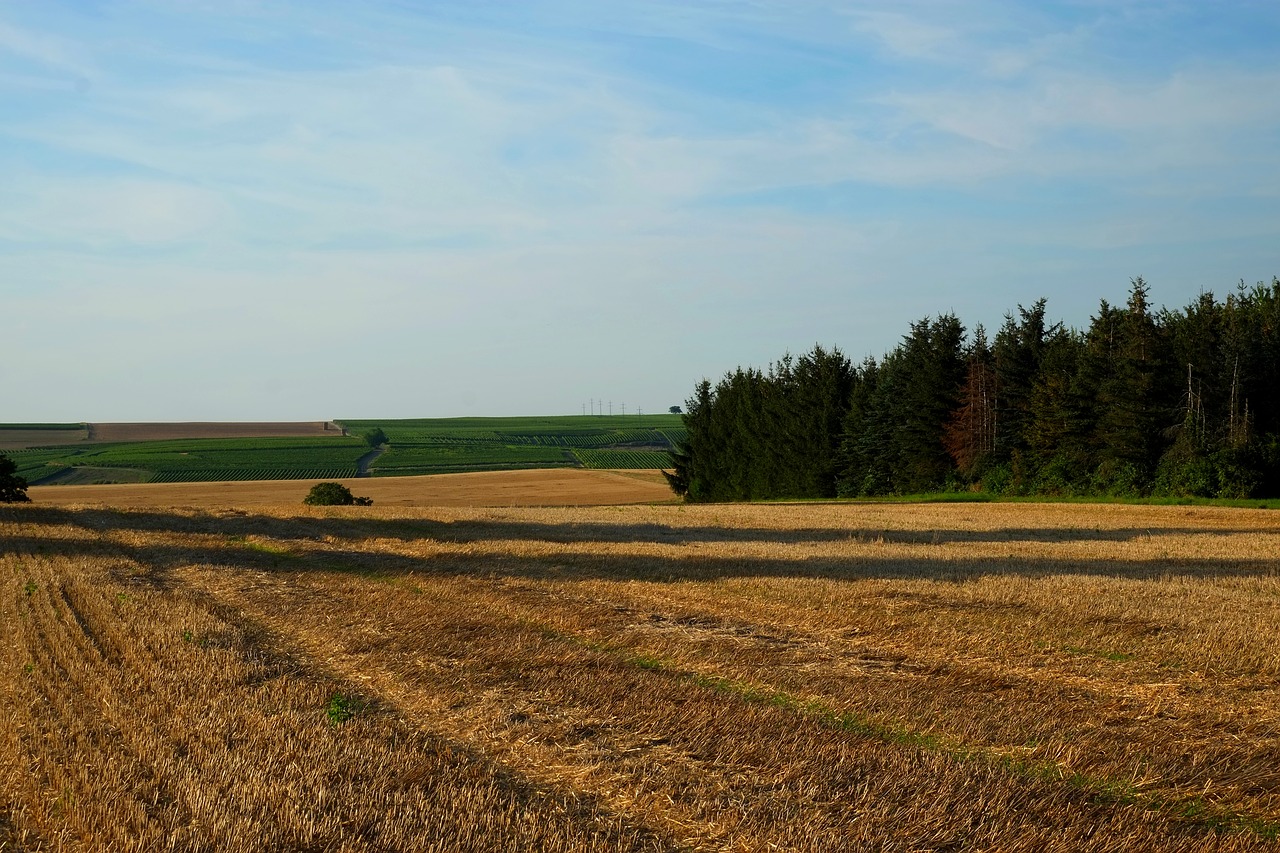 Image - field landscape nature fields