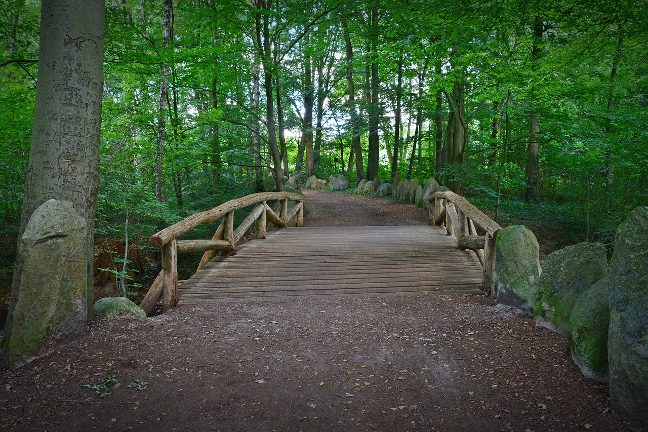 Image - bridge forest forest path wood web