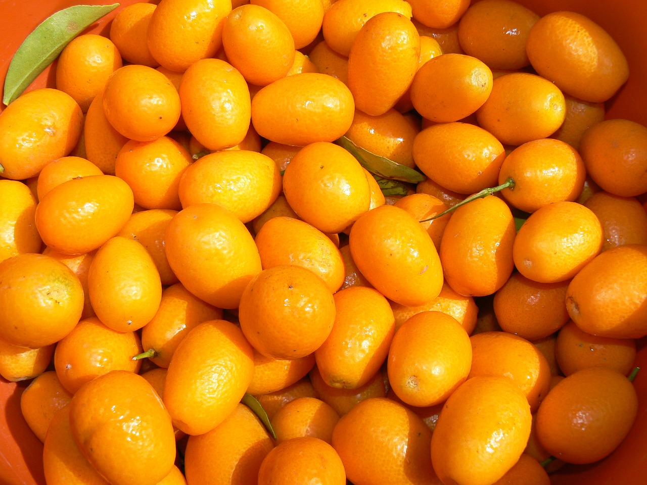 Image - kinotos fruit citrus mature