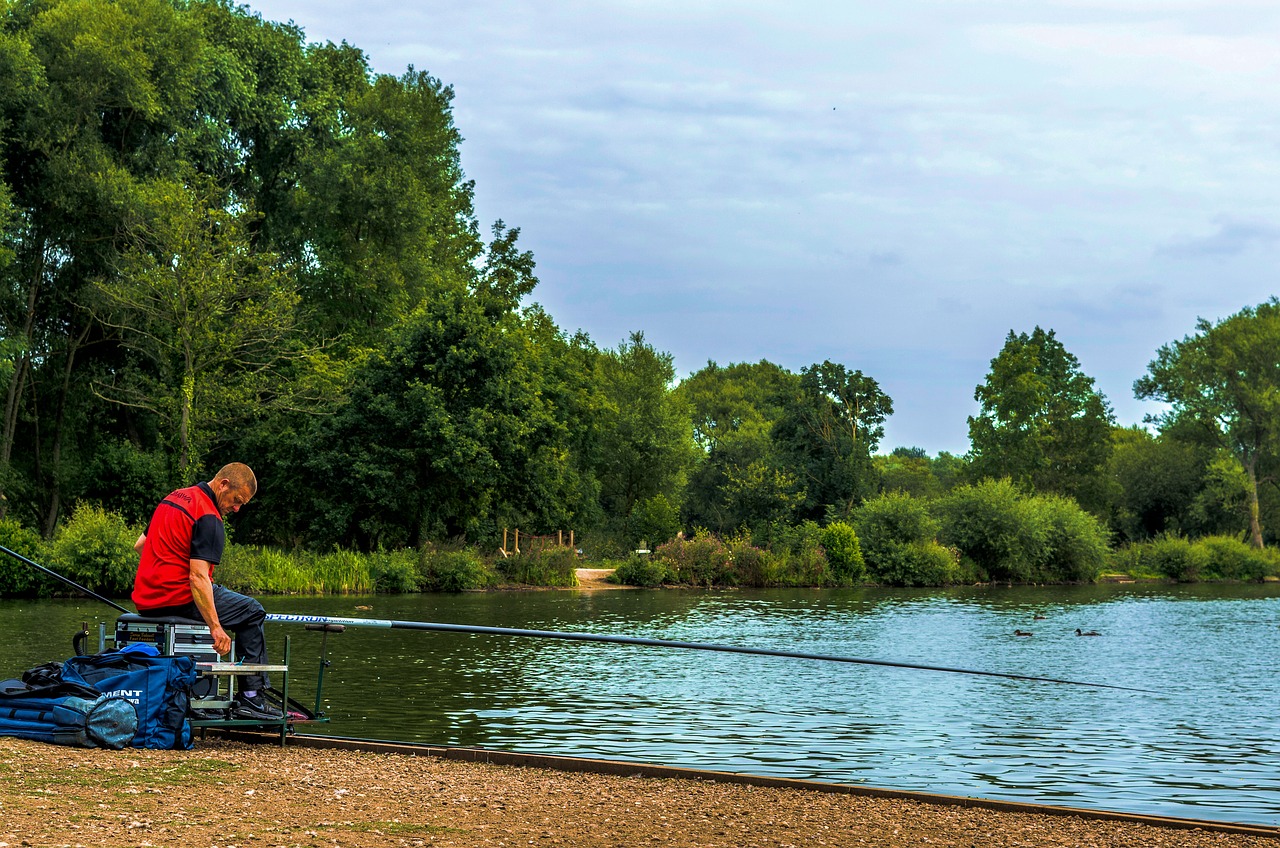 Image - fishing man rod angler lake trees