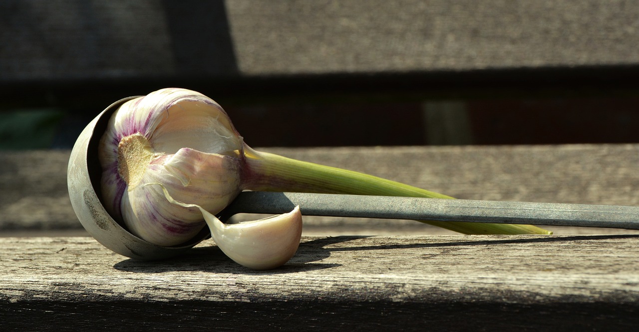 Image - garlic tuber fresh garlic cook