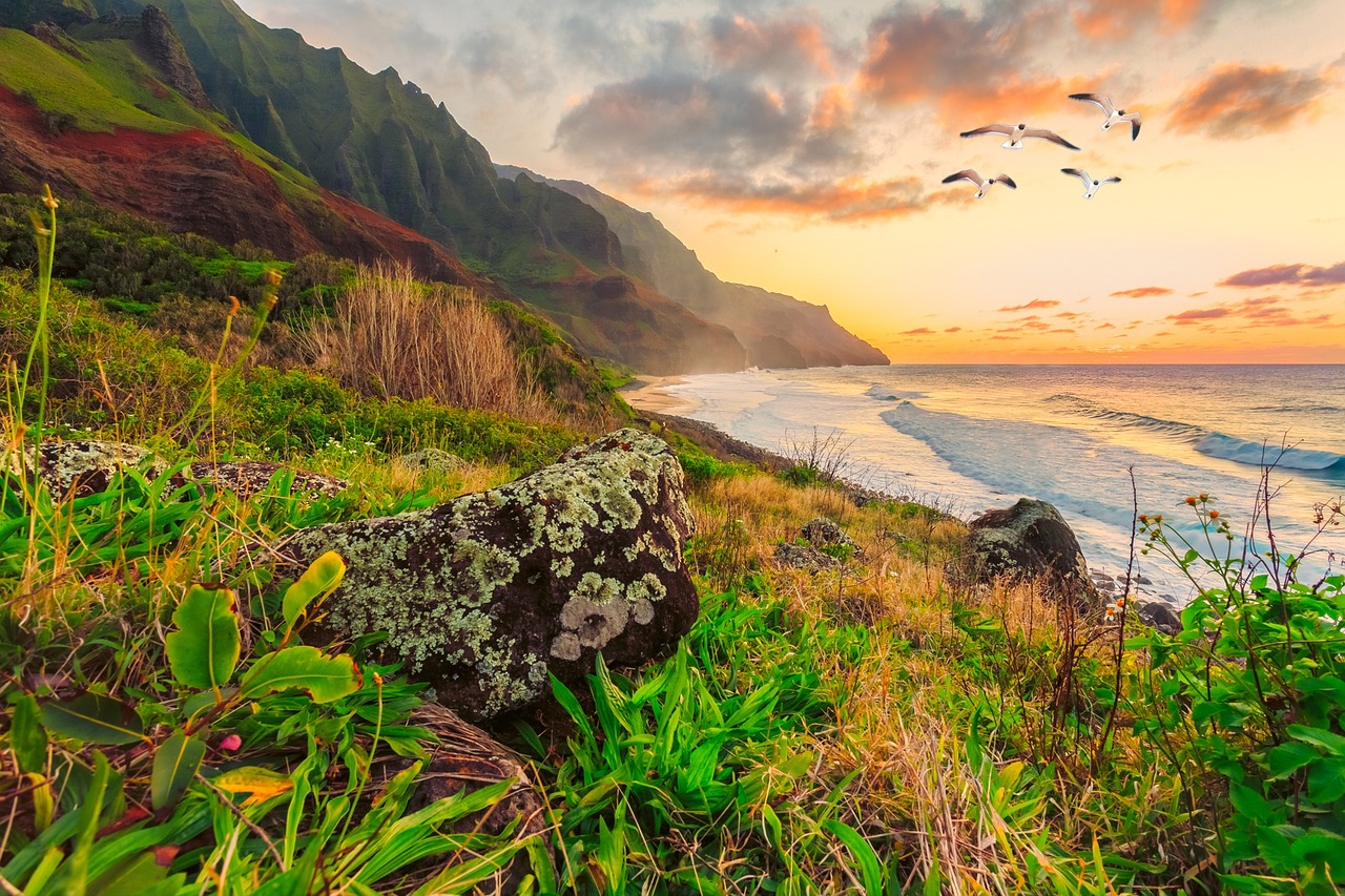 Image - seascape seagulls landscape sea