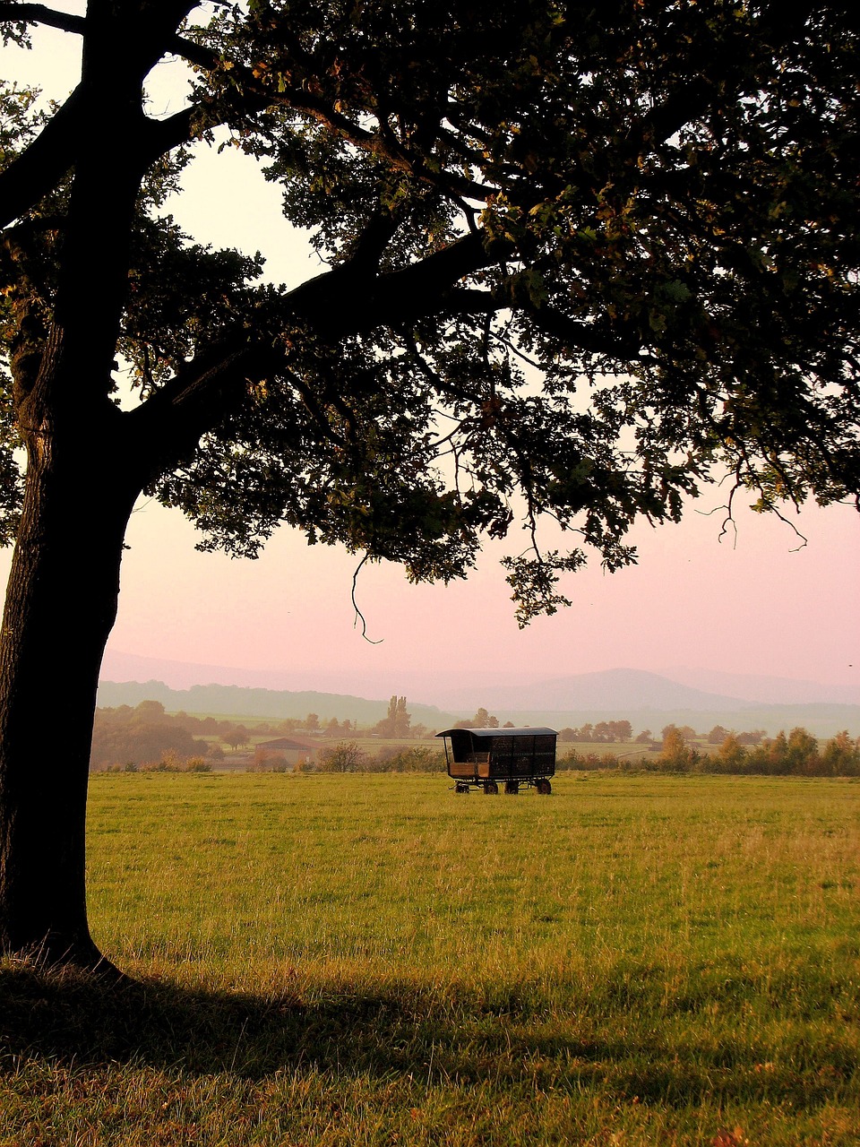 Image - tree schäfer wagon evening light