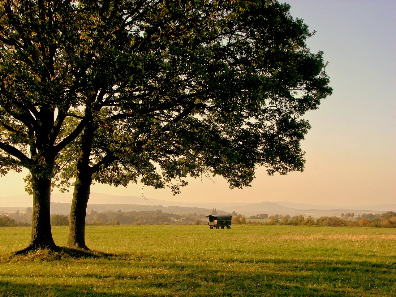 Image - tree autumn evening mood