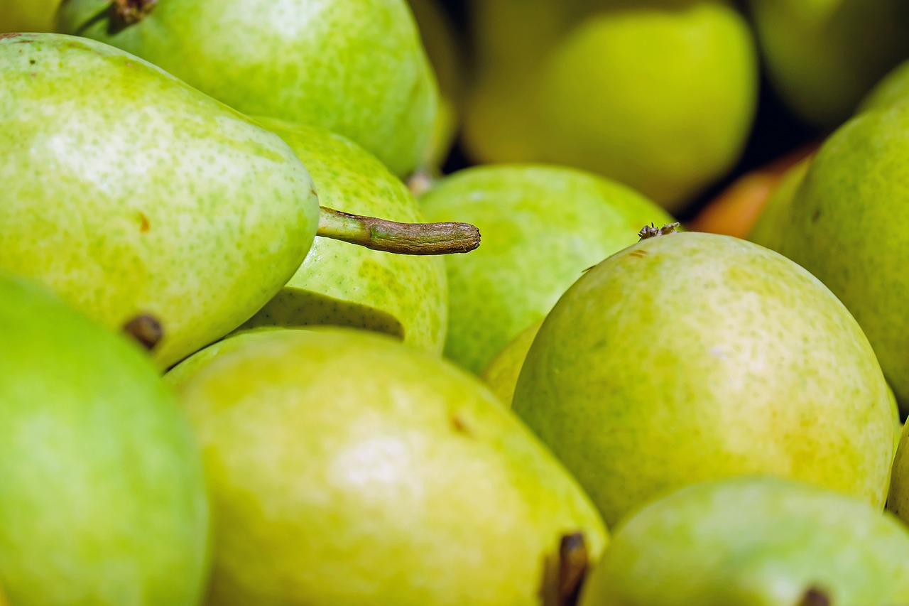 Image - pears fruit fruits ripe harvest