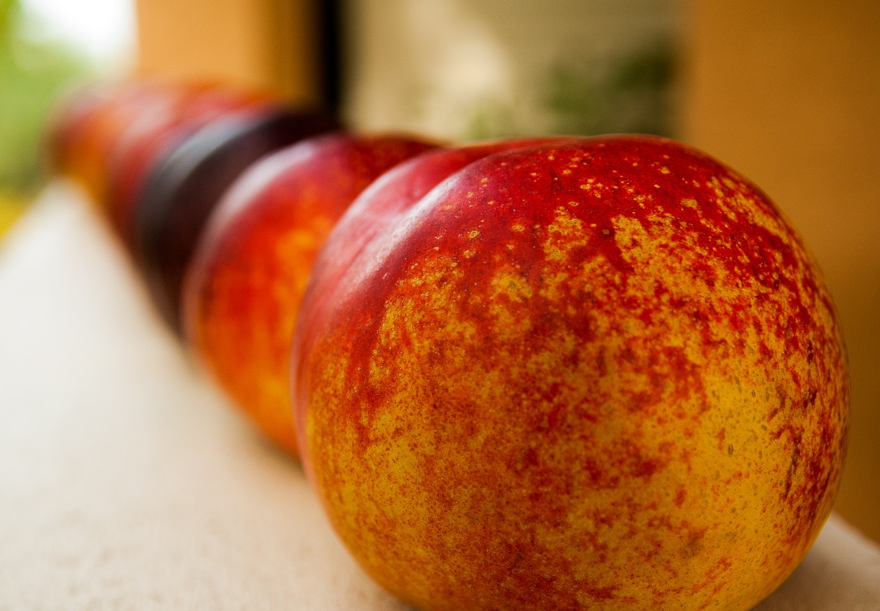 Image - fruit fishing peach apricot garden