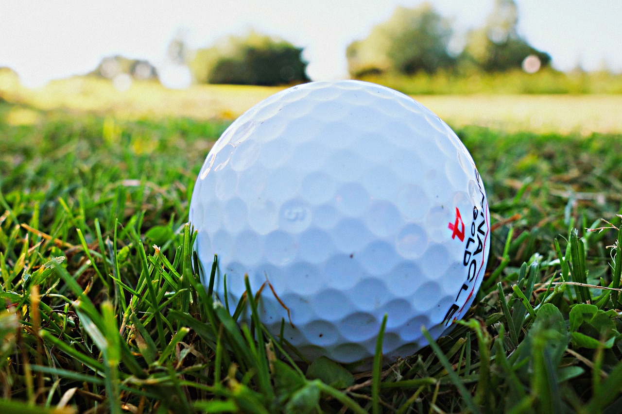 Image - golf ball golf golfing golf course