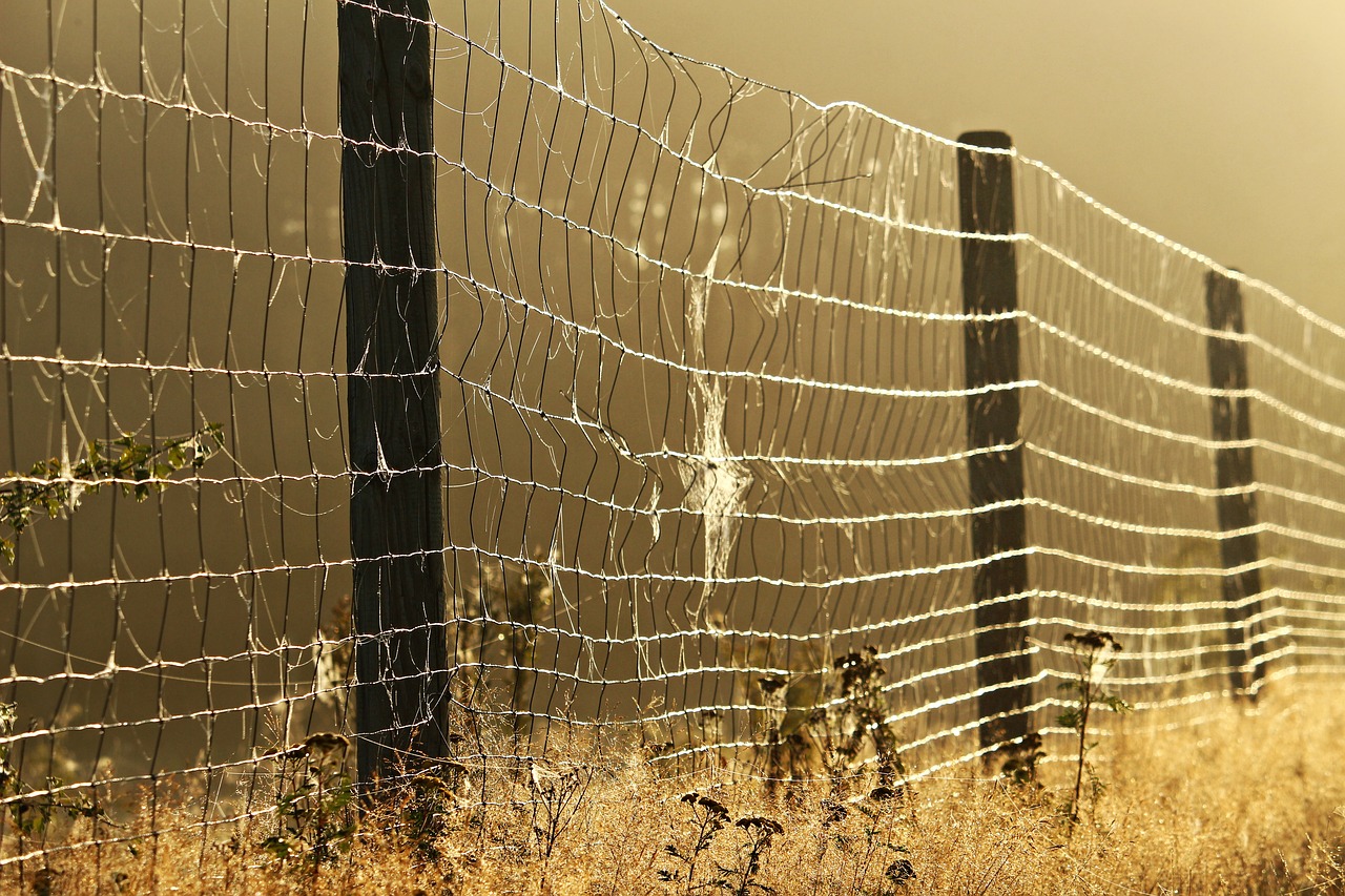 Image - away fog fence spider webs grass