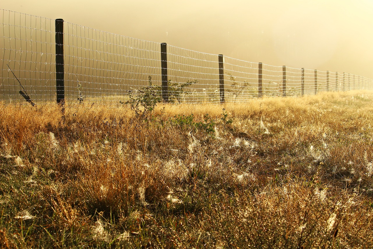 Image - away fog fence spider webs grass