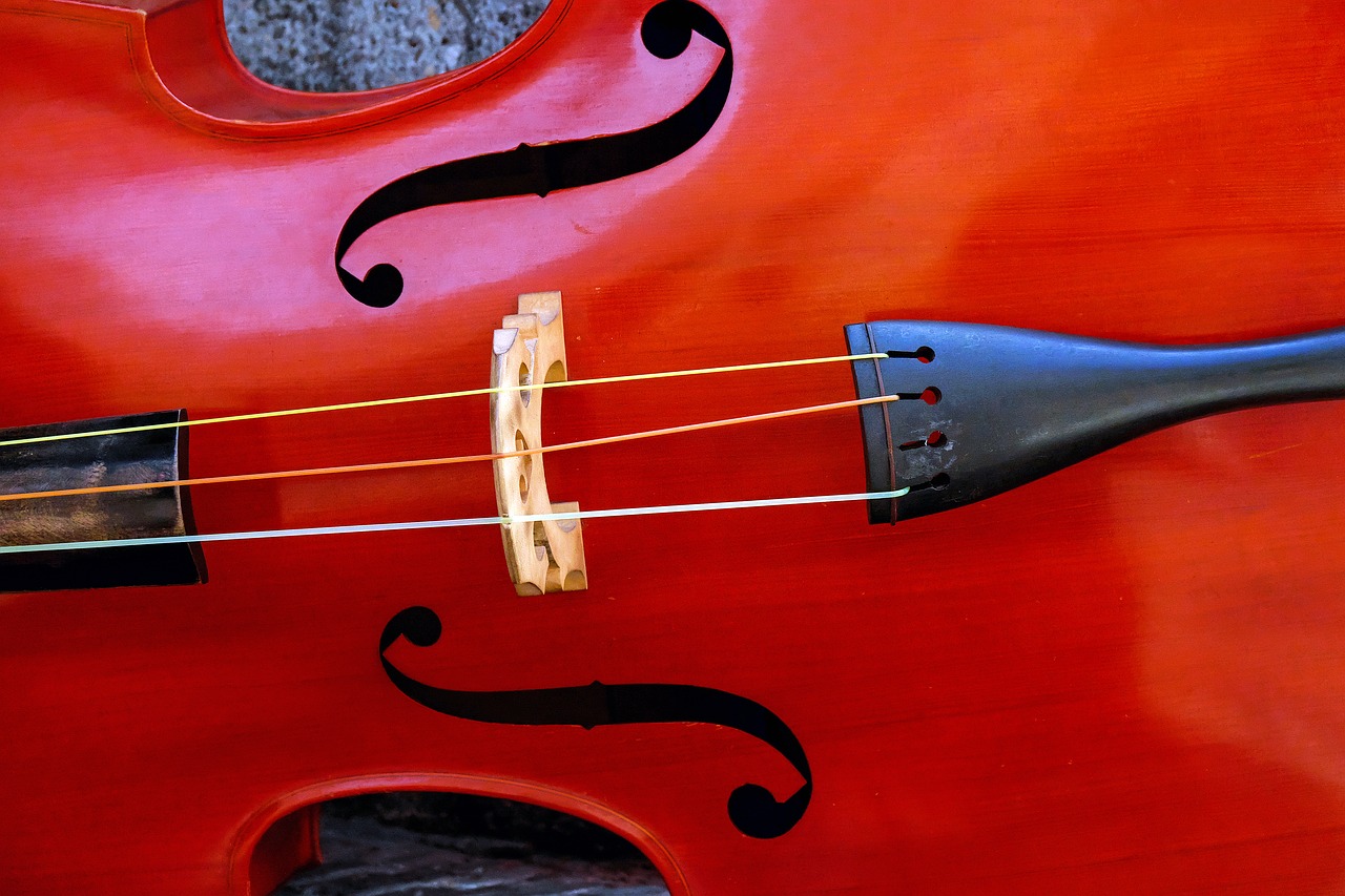 Image - violin music instrument