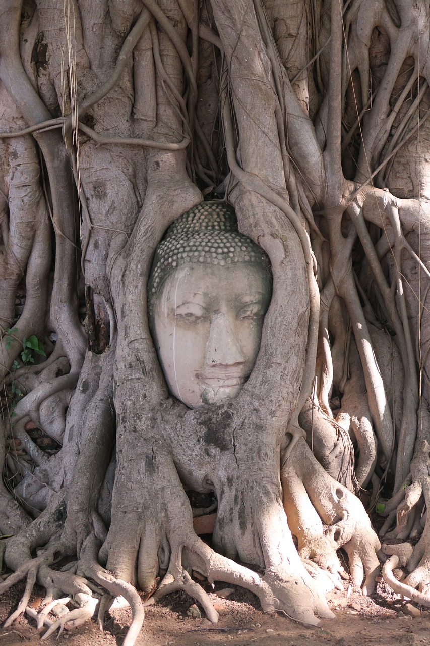 Image - ayutthaya thailand buddha ruin