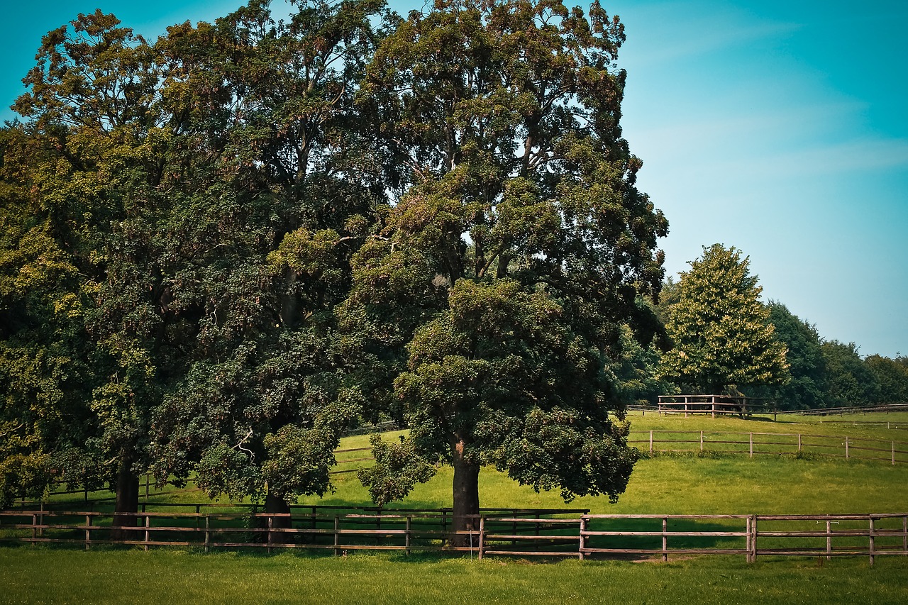 Image - landscape nature landscapes