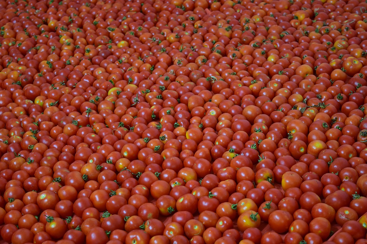 Image - background tomatoes red ripe