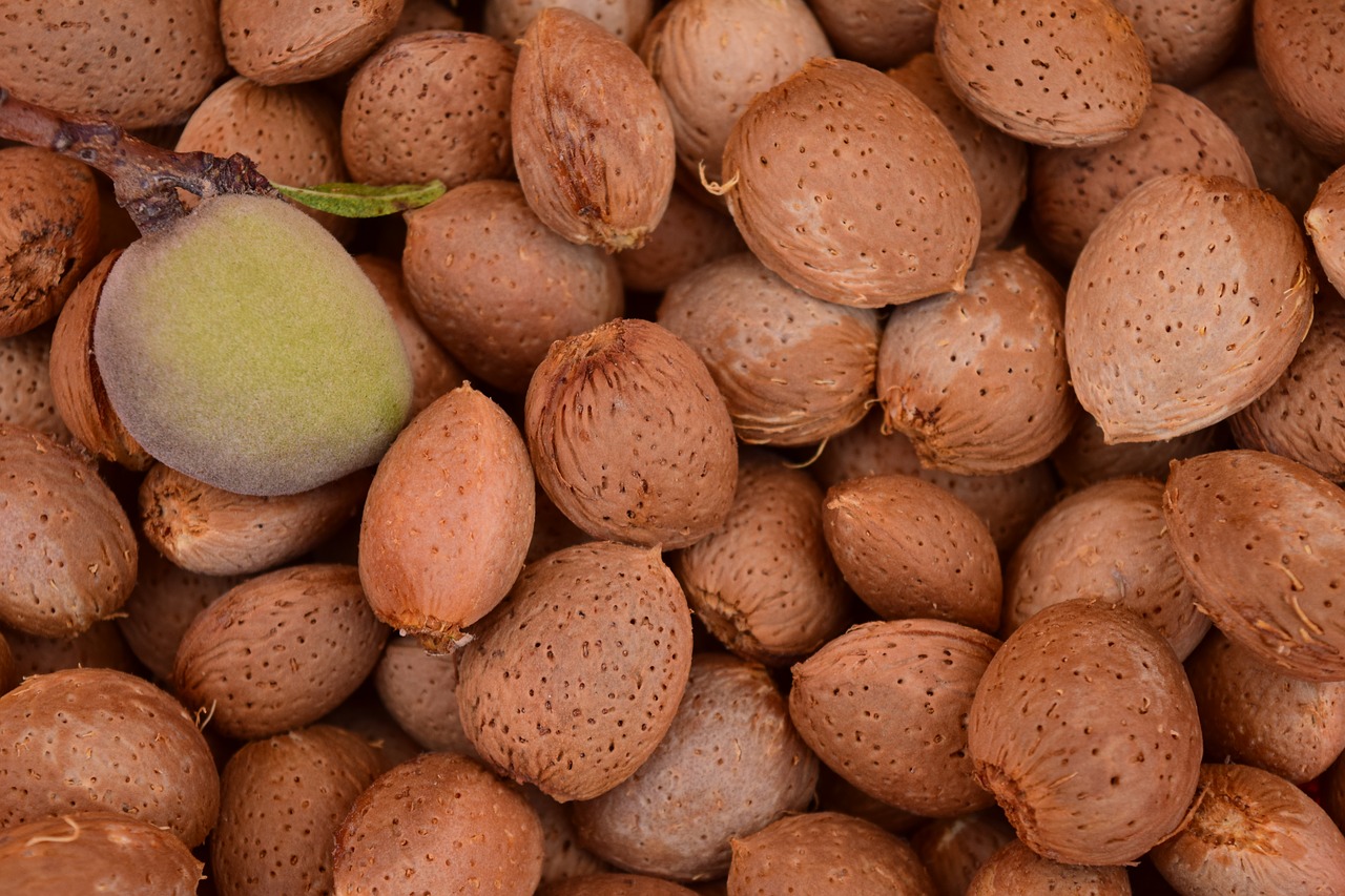 Image - almonds background frisch healthy