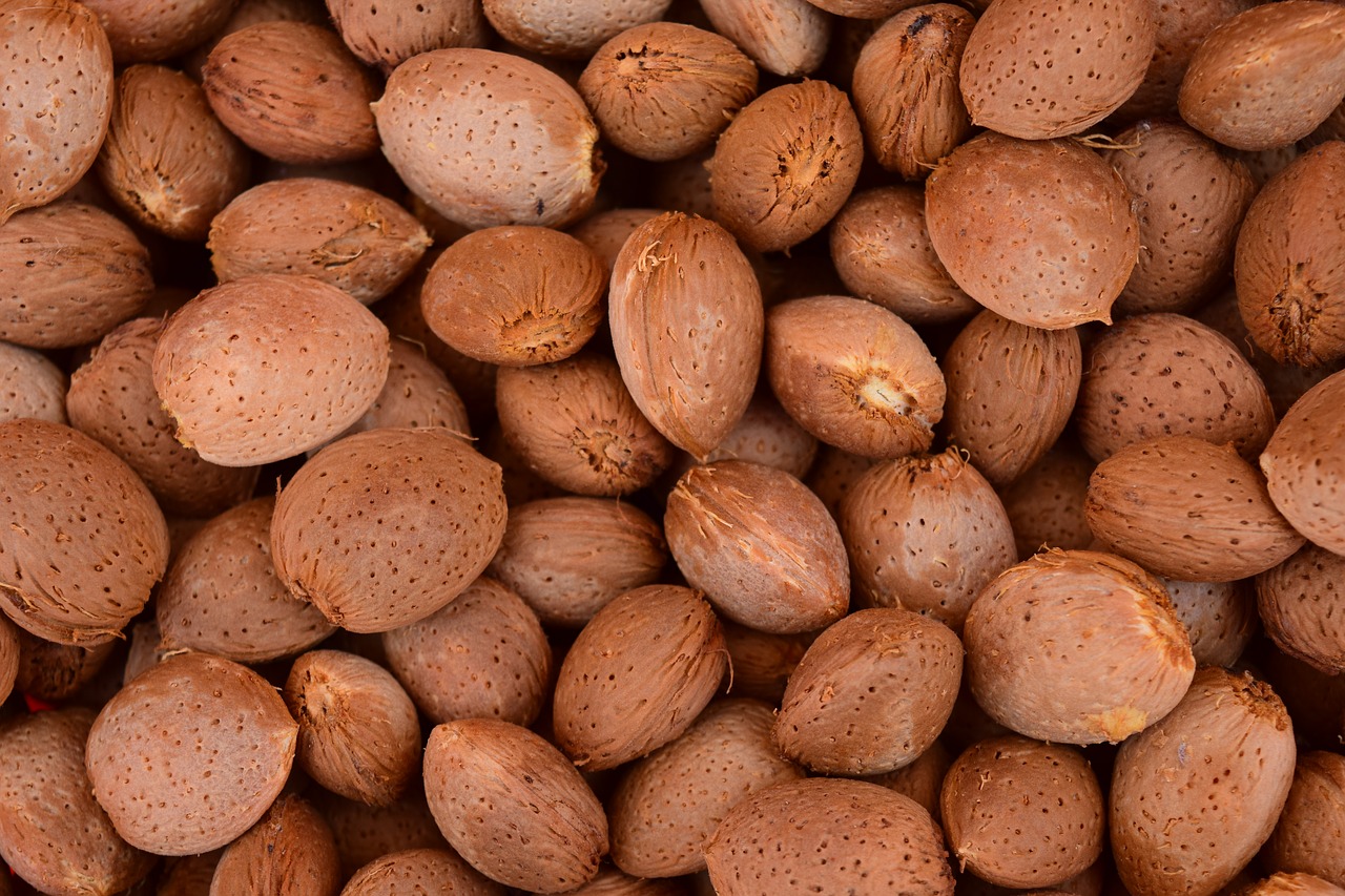 Image - almonds background frisch healthy