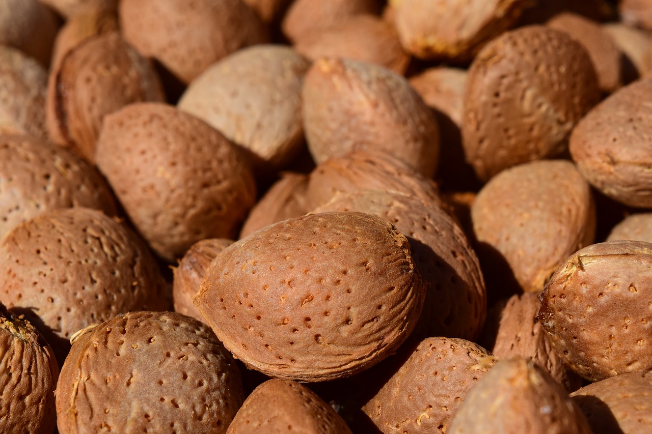 Image - almonds background frisch healthy