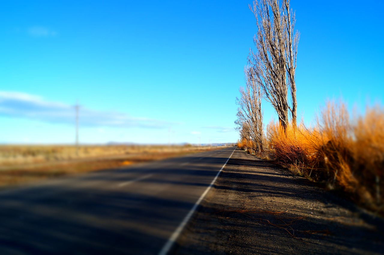 Image - autumn road argentina