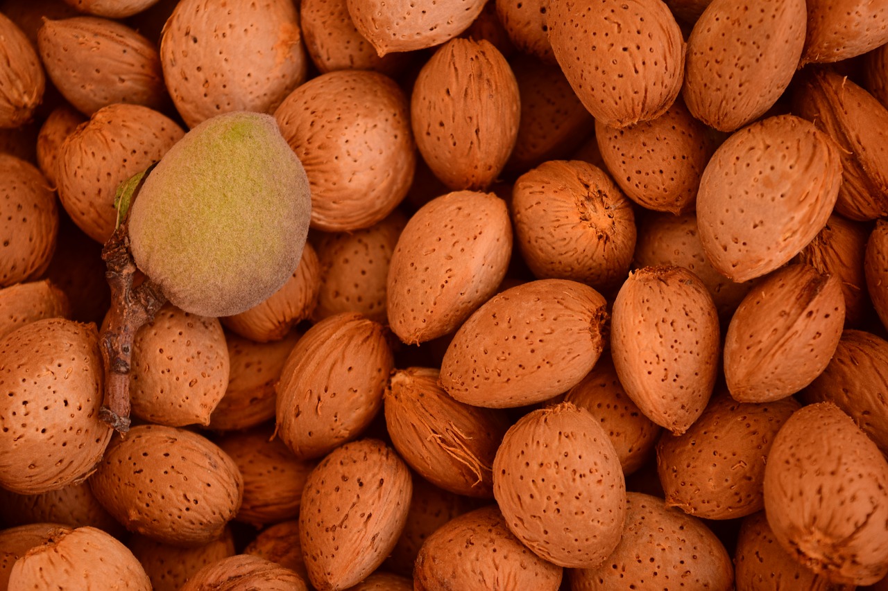 Image - almonds background shell fruits