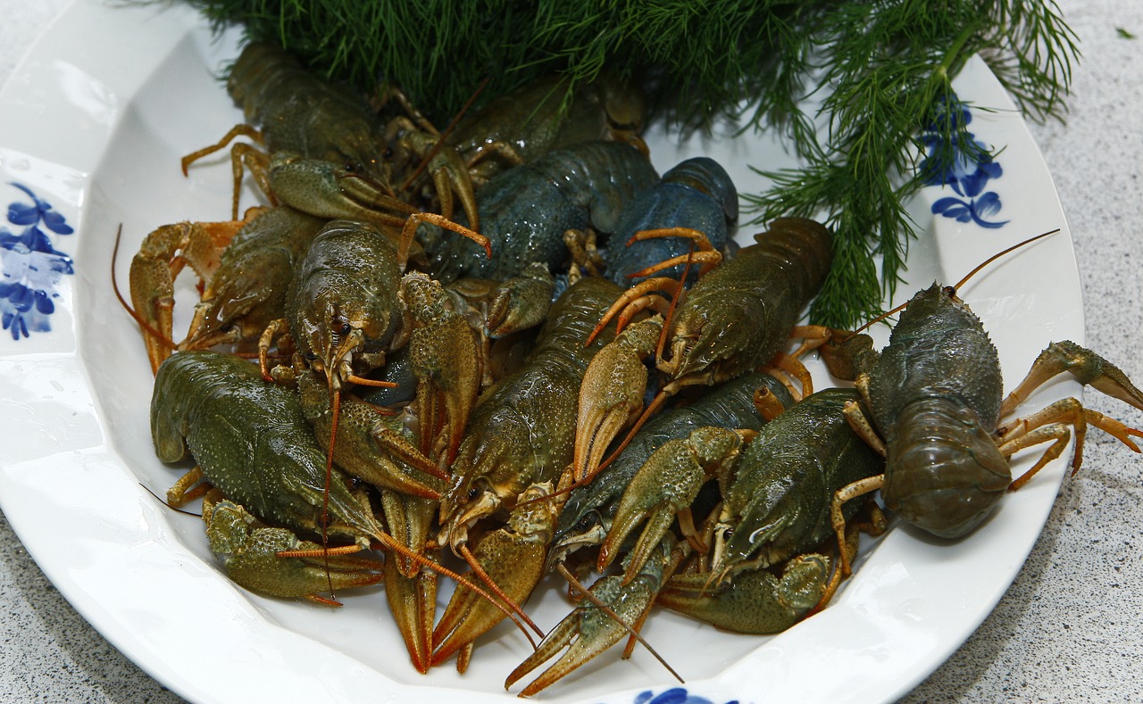 Image - crayfish seafood live boil dill