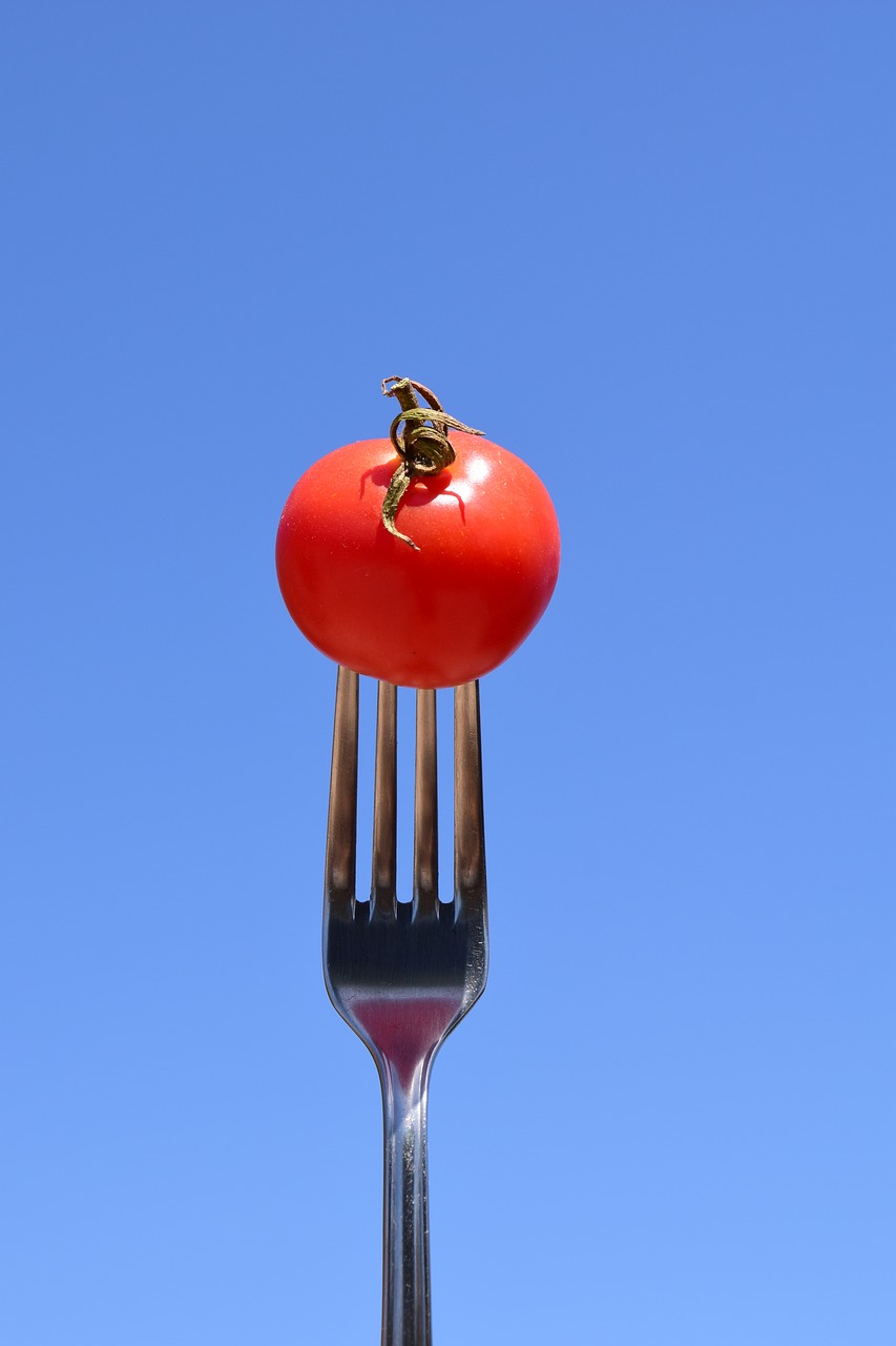 Image - tomato fork eat close metal fork