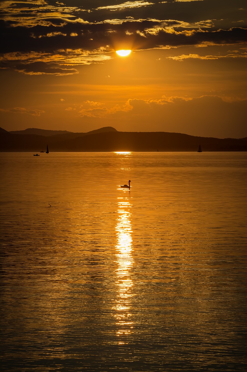 Image - lake balaton sunset nature lake