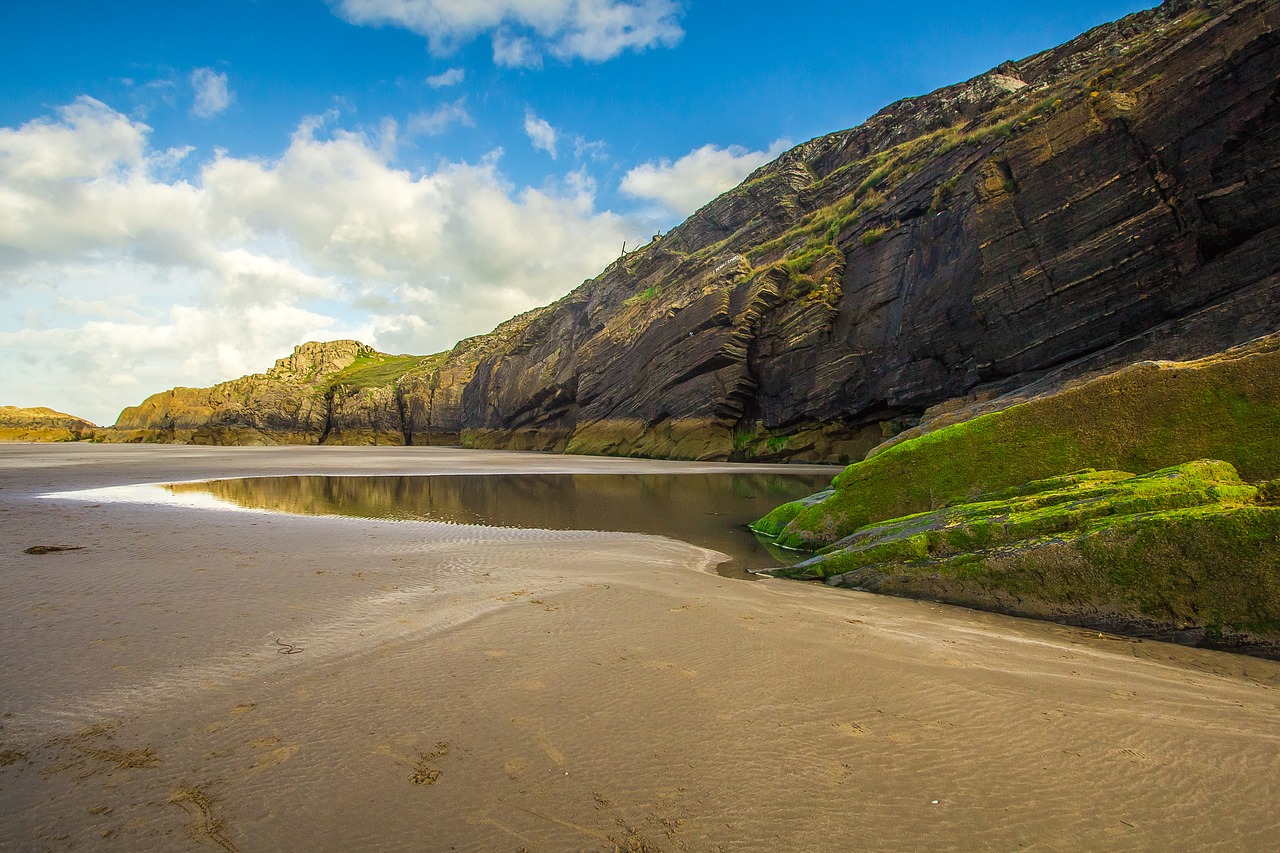 Image - beach ocean low tide cave