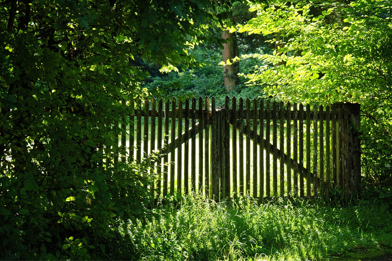 Image - wood fence fence nature wood