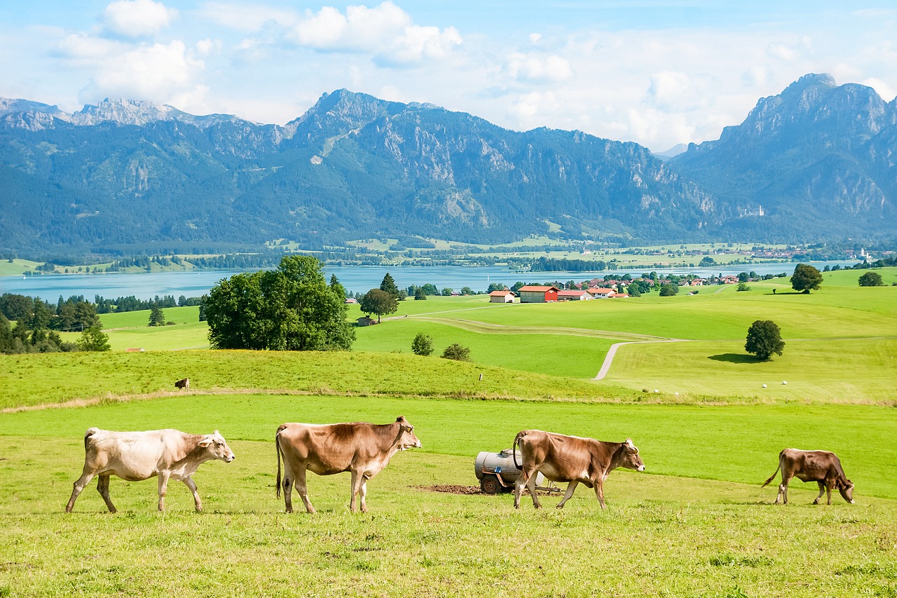 Image - allgäu ostallgäu bavaria mountains