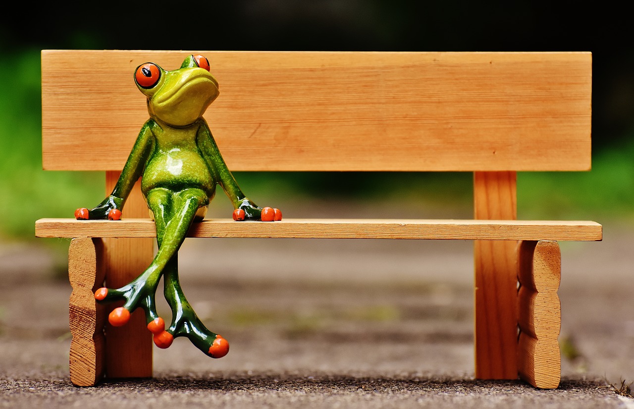 Image - frog sit bank bench rest break