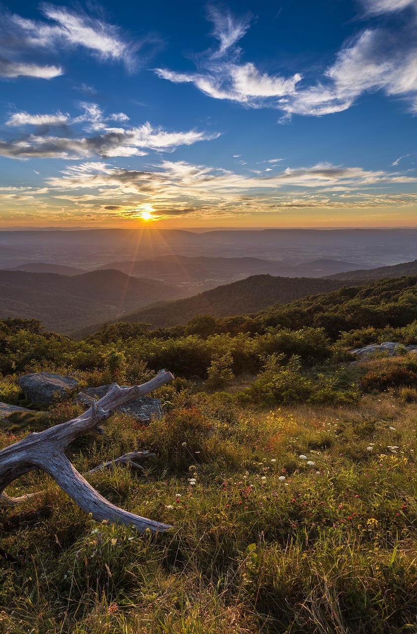 Image - sunset landscape clouds sky dusk