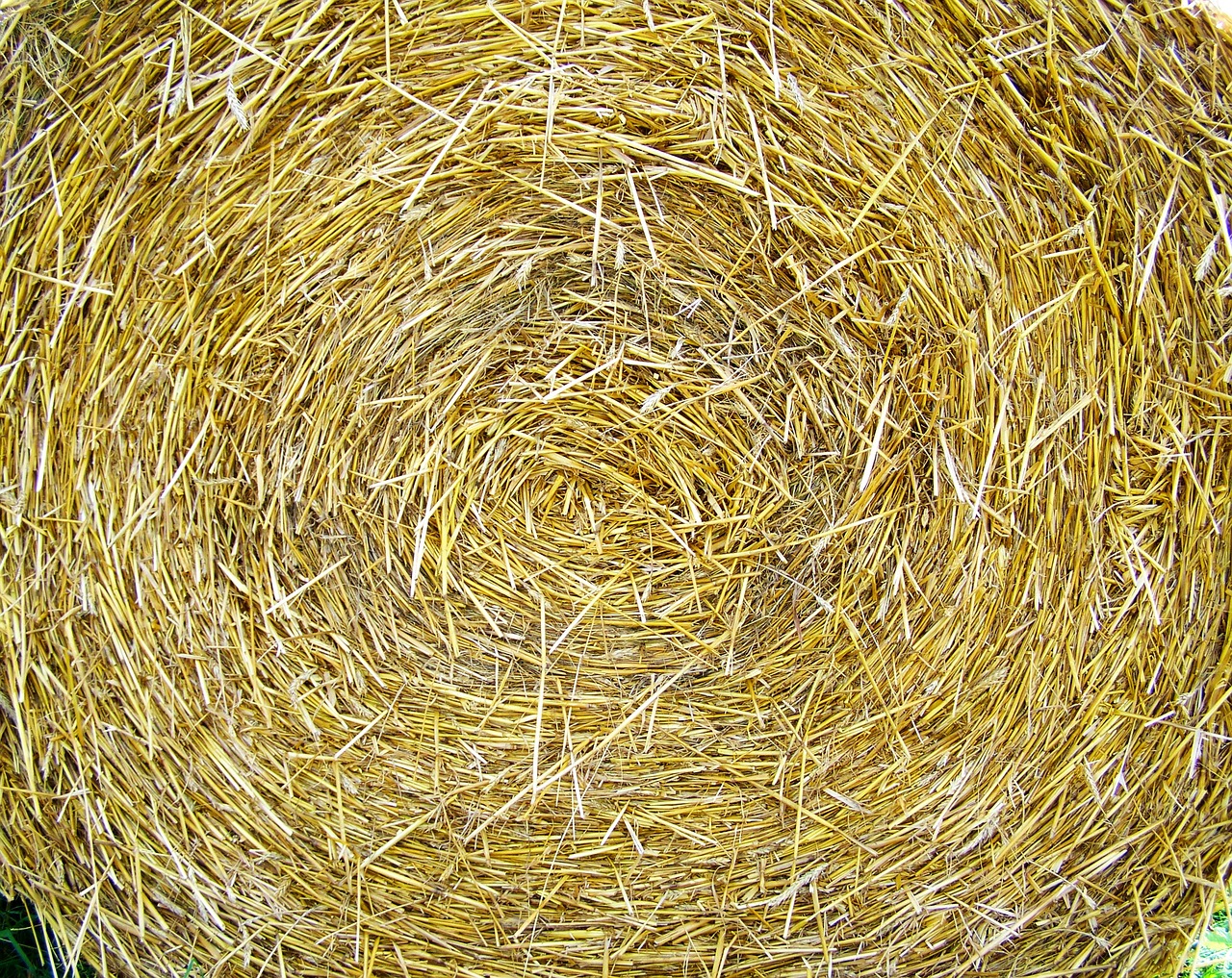 Image - straw bale works