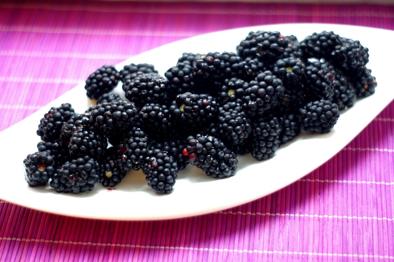 Image - blackberries wild berries berry