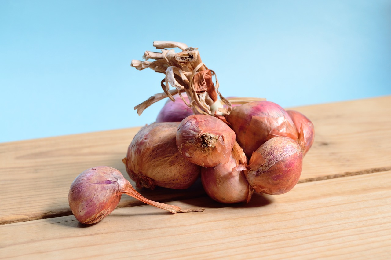 Image - onion red approach detail