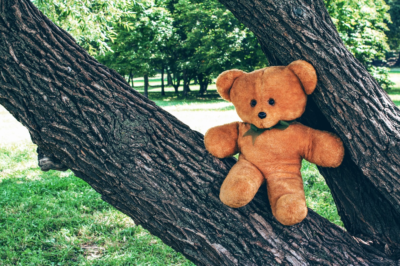 Image - bear teddy toy soft childhood