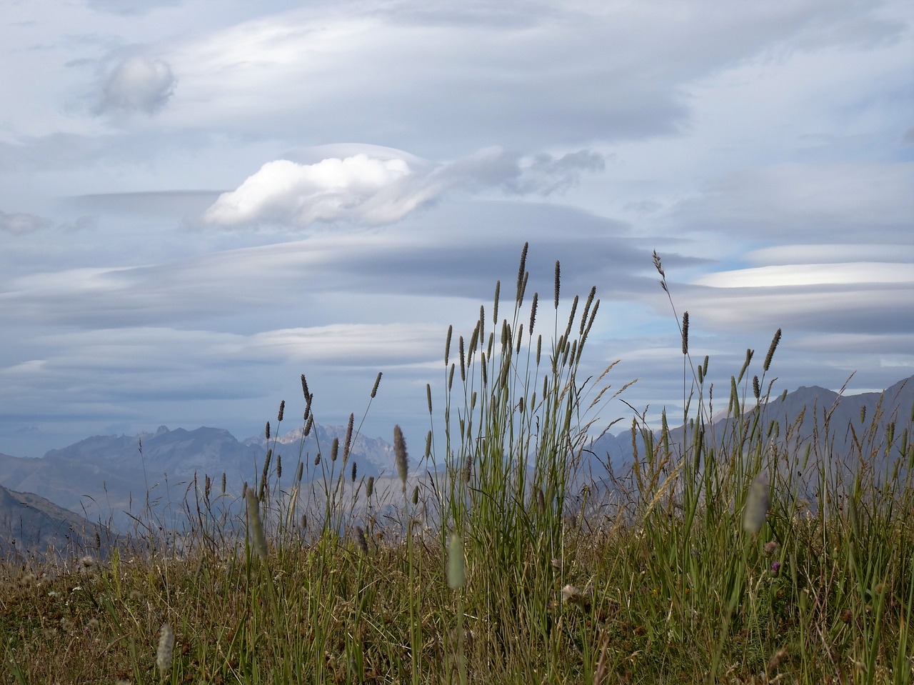 Image - mountain scenery crazy herbs