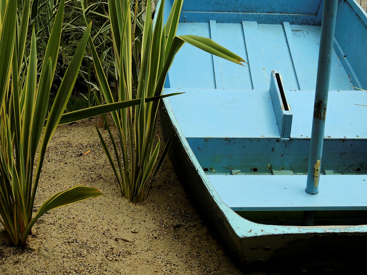 Image - boot ship reed grass sand beach