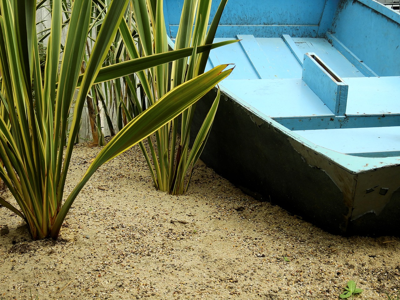 Image - boot ship reed grass sand beach