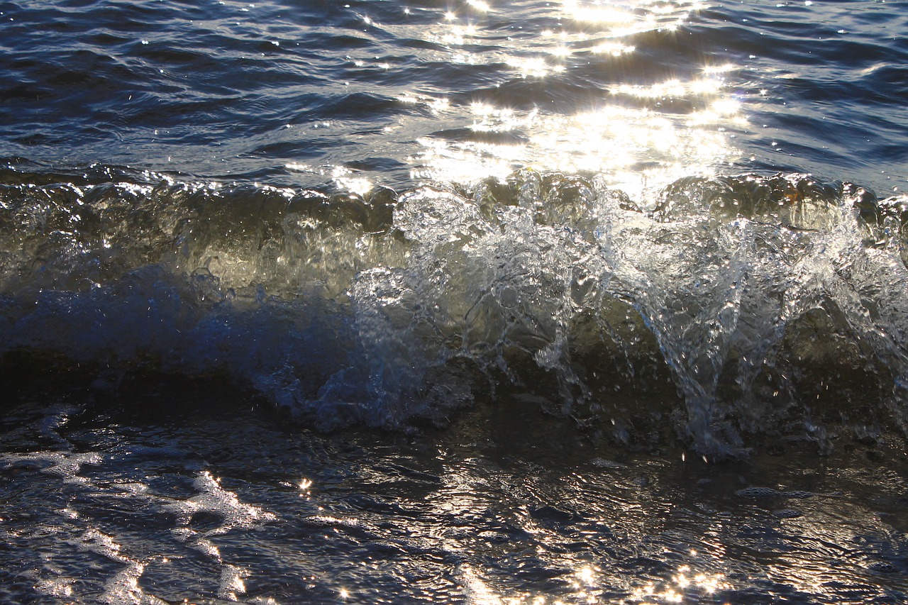 Image - baltic sea sea sunset gold nature