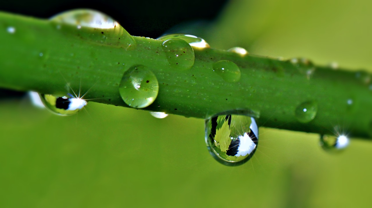 Image - drip raindrop drop of water