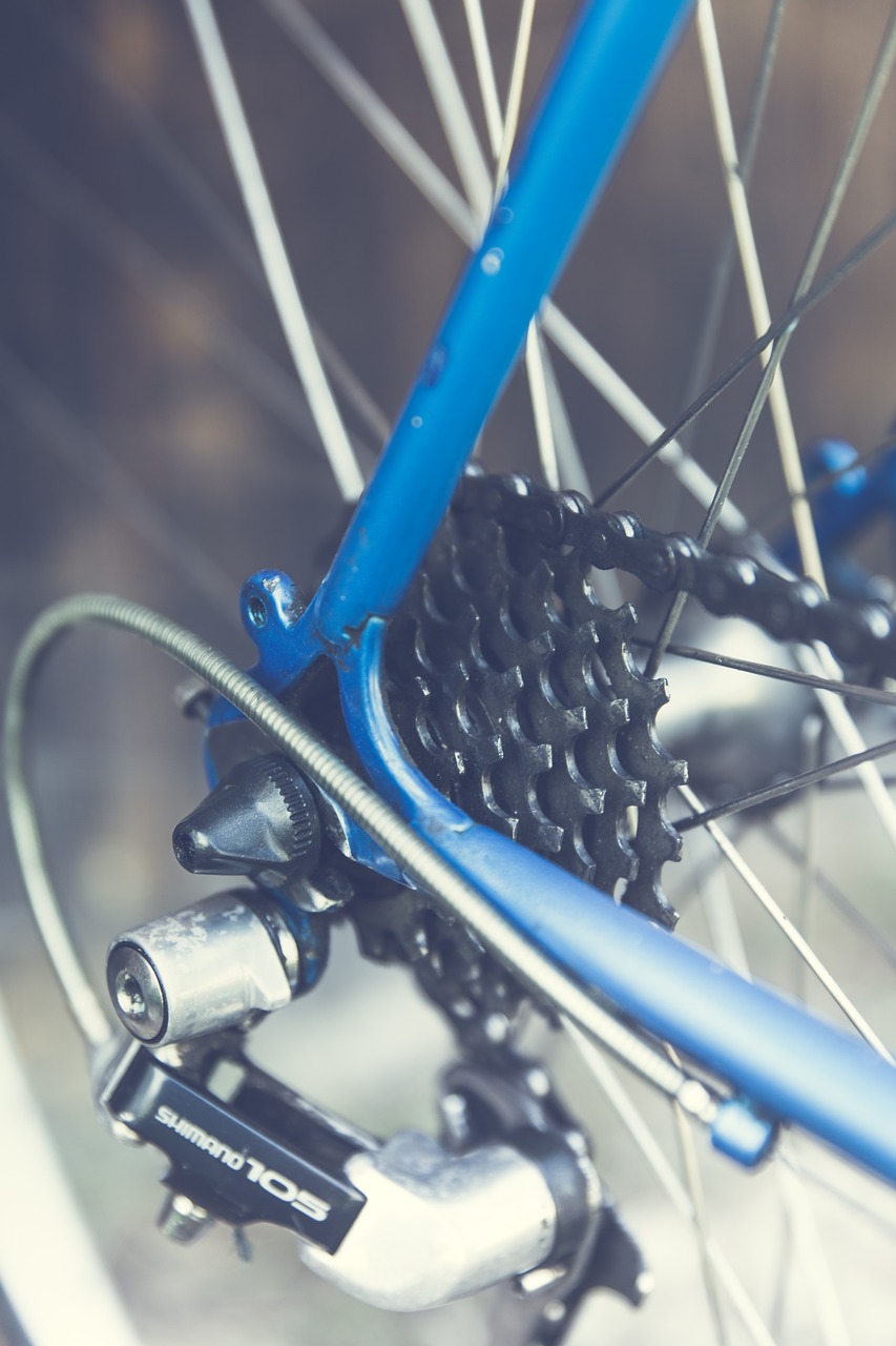 Image - bike circuit rear derailleur