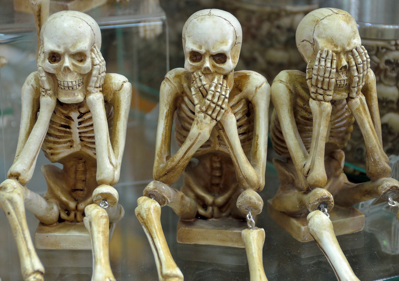 Image - skeletons funny hear no evil