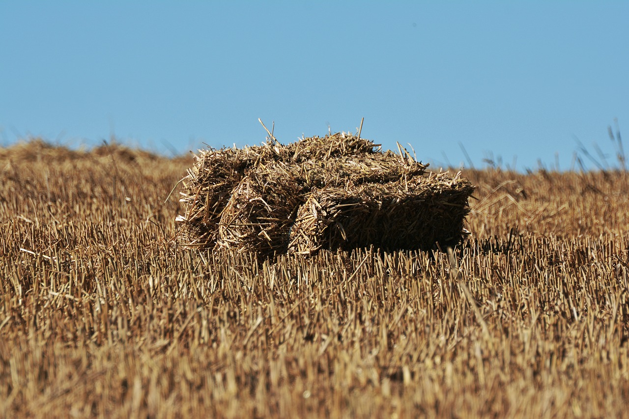 Image - straw bales straw stubble field