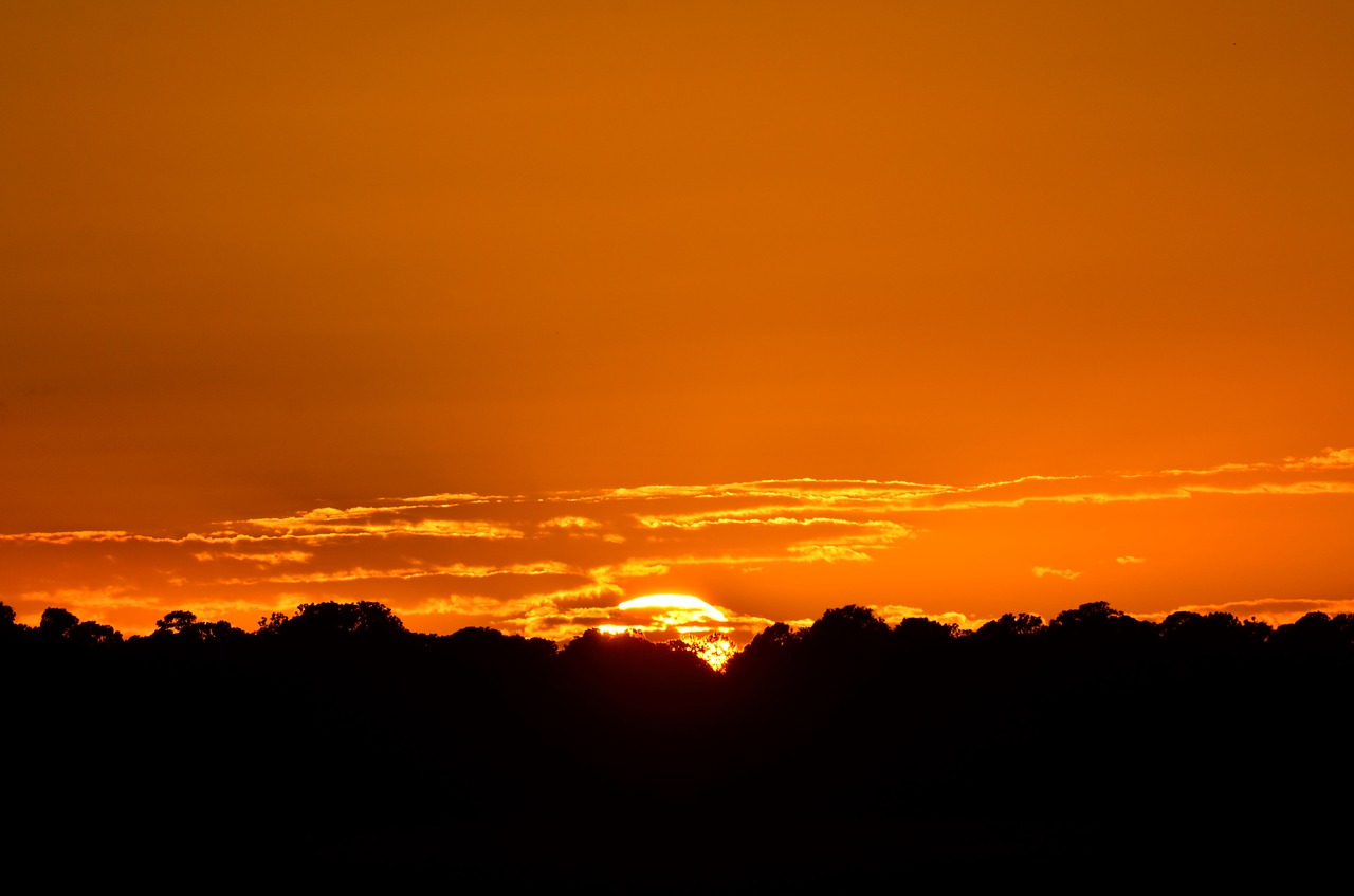 Image - sunset dawn night sky orange